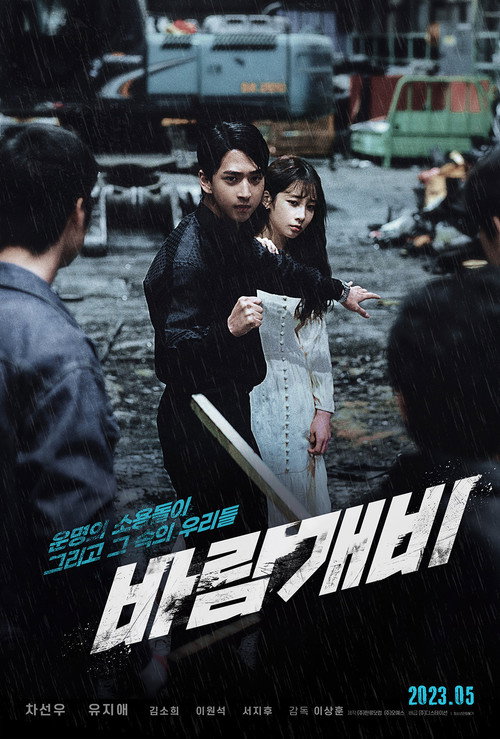 Póster de 바람개비