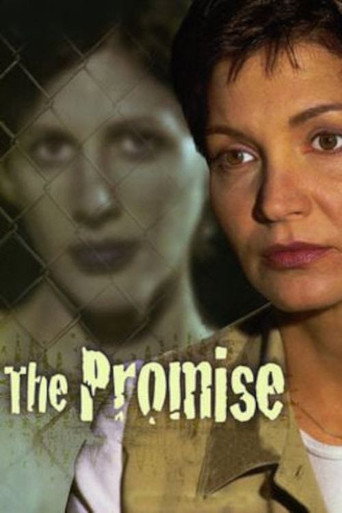 Póster de The Promise