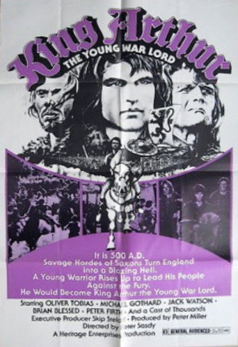 Póster de Arturo, el joven guerrero