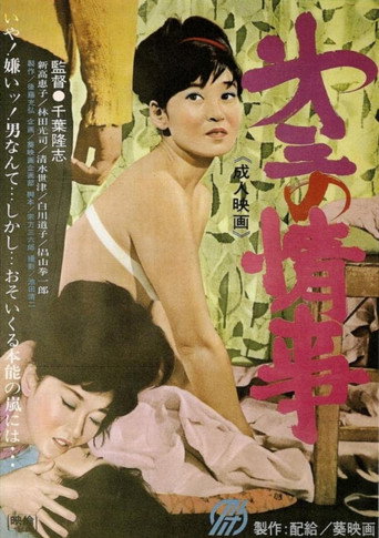 Póster de 第三の情事