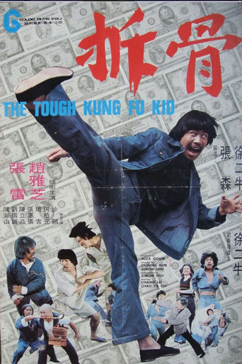 Póster de The Tough Kung Fu Kid
