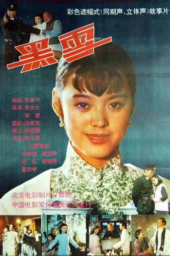 Póster de 黑雪