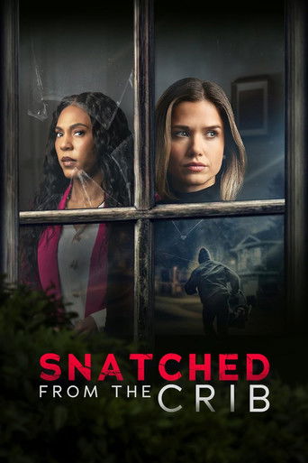 Póster de Snatched From The Crib