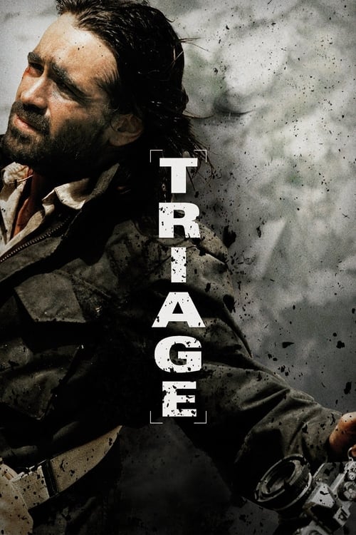 Póster de Triage
