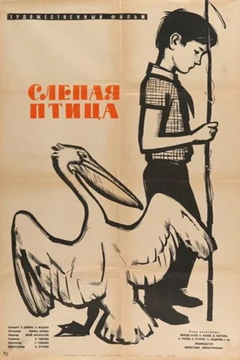 Póster de Слепая птица