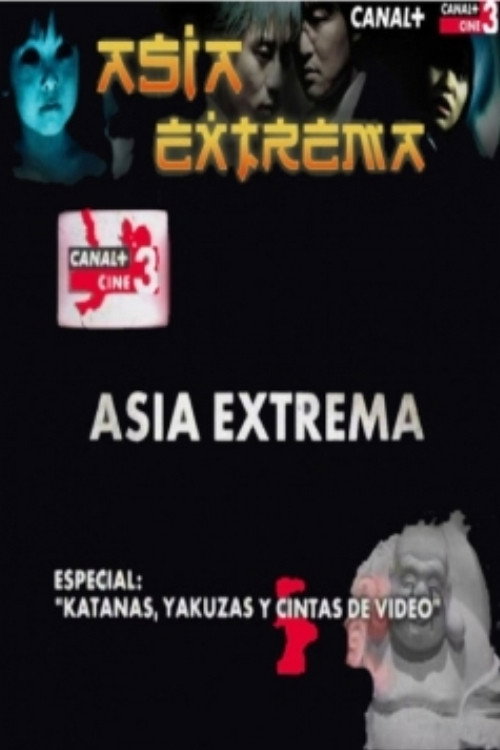 Póster de Katanas, yakuzas y cintas de video