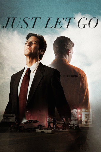 Póster de Just Let Go