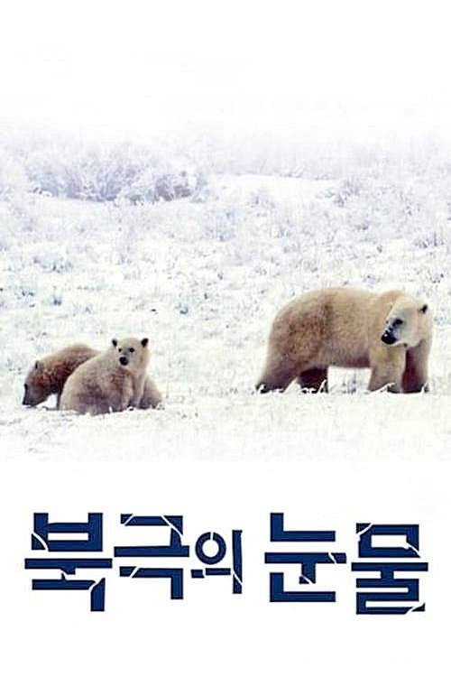 Póster de 북극의 눈물