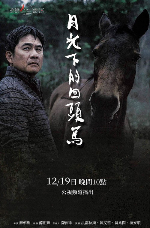 Póster de 月光下的回頭馬