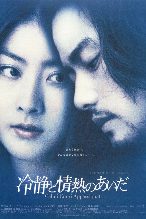 Póster de 冷静と情熱のあいだ