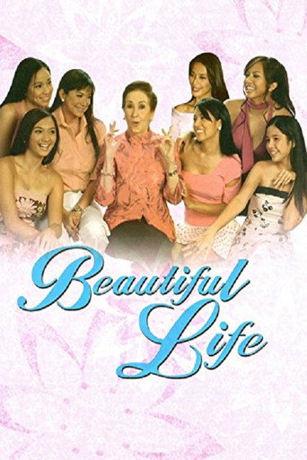 Póster de Beautiful Life