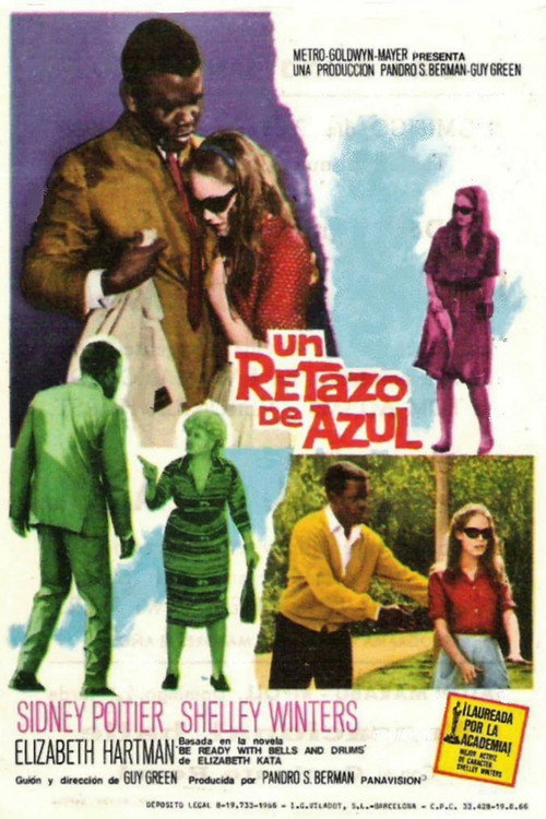Póster de Cuando sólo el corazón ve