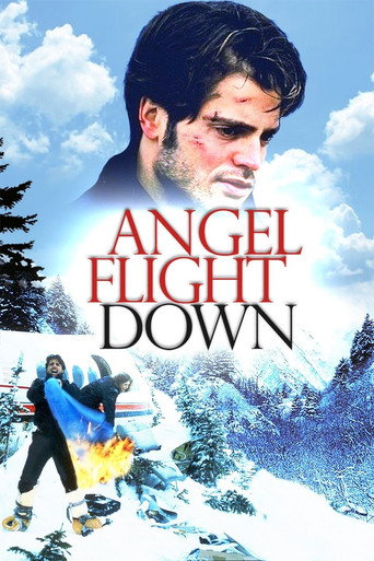 Póster de Angel Flight Down