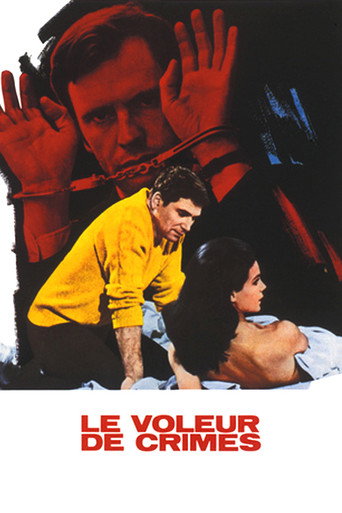 Póster de Le Voleur de crimes