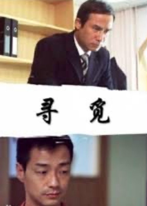 Póster de 寻觅