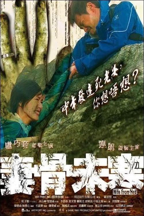 Póster de 妻骨未寒