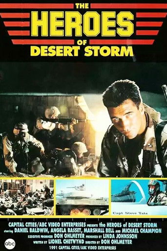 Póster de The Heroes of Desert Storm