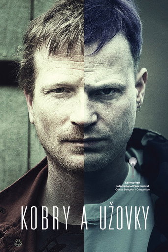 Póster de Kobry a Užovky