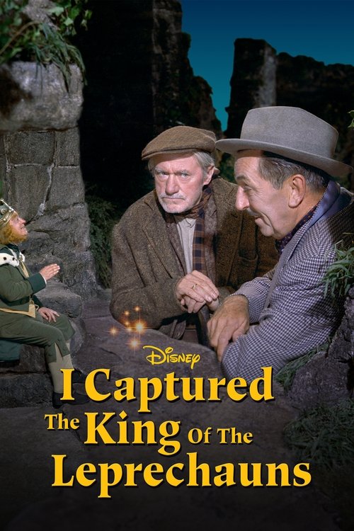 Póster de I Captured the King of the Leprechauns