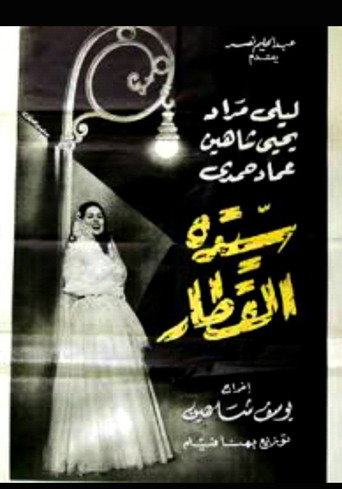 Póster de سيدة القطار