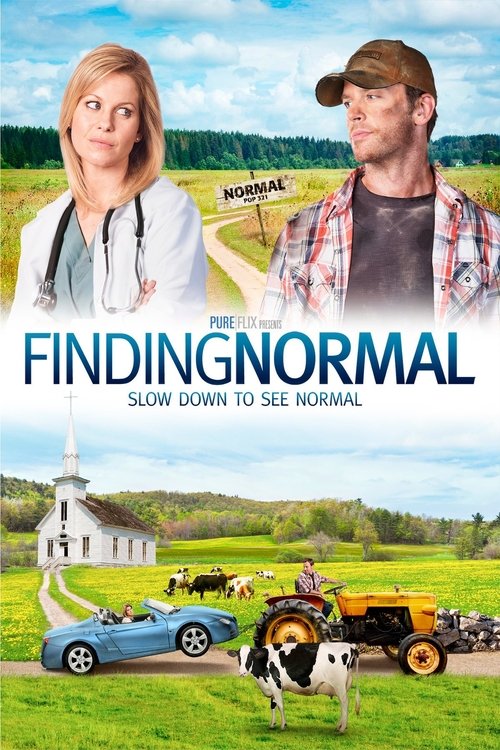 Póster de Finding Normal