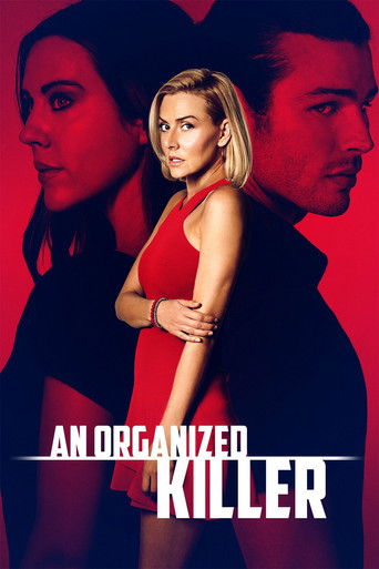 Póster de Asesino organizado