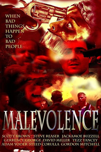 Póster de Malevolence