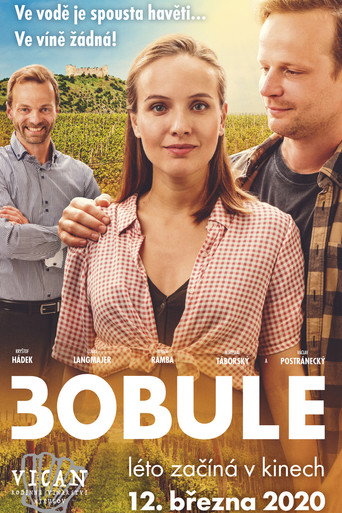 Póster de 3Bobule