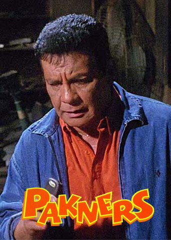 Póster de Pakners