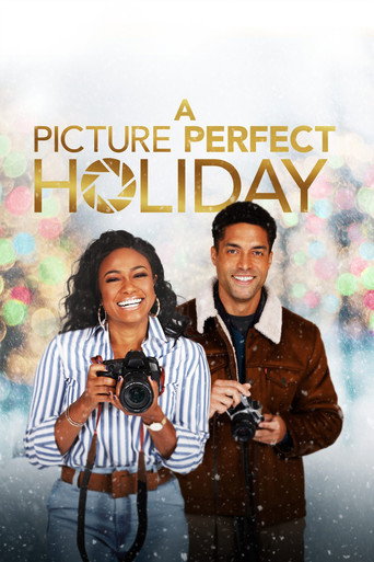 Póster de A Picture Perfect Holiday