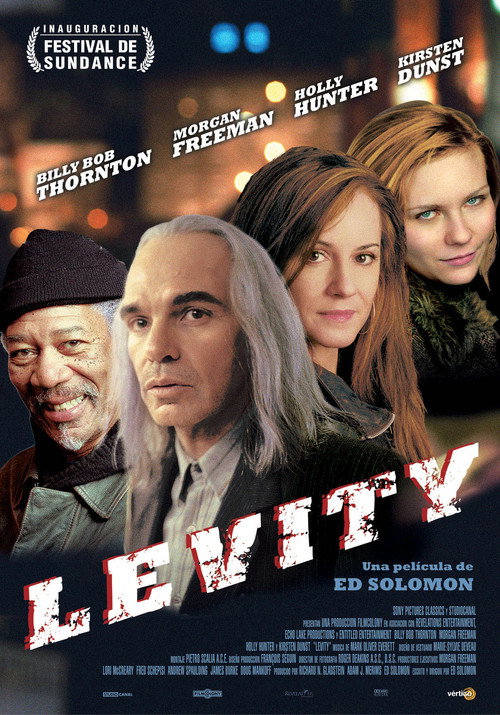 Póster de Levity