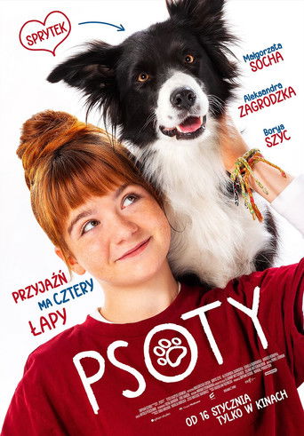 Póster de Psoty