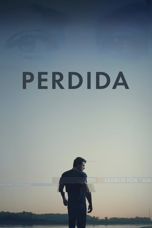 Póster de Perdida