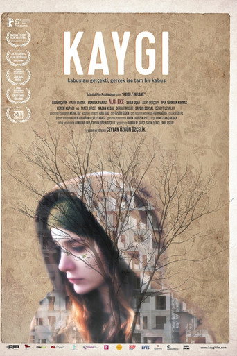 Póster de Kaygı