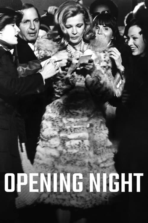 Póster de Opening Night
