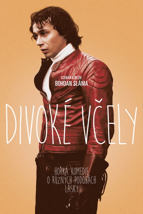 Póster de Divoké včely