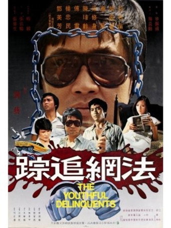 Póster de 法網追踪