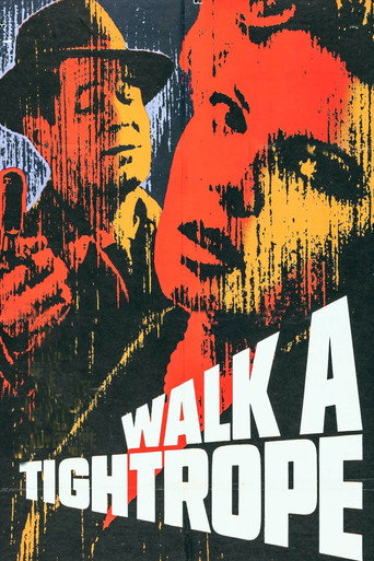 Póster de Walk a Tightrope