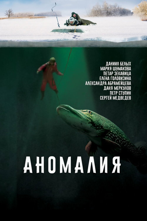Póster de Аномалия
