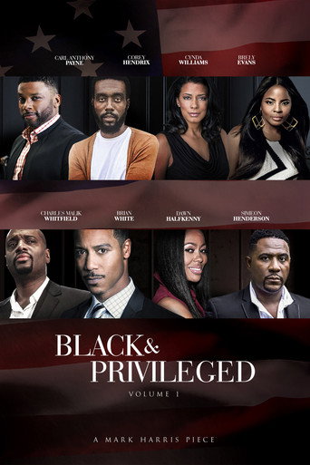 Póster de Black & Privileged: Volume 1