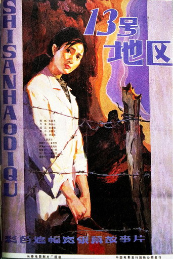 Póster de 十三号地区