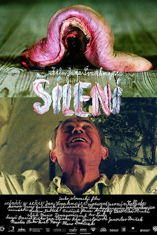 Póster de Šílení