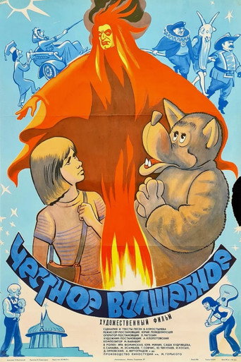 Póster de Честное волшебное