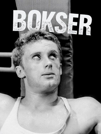 Póster de Bokser