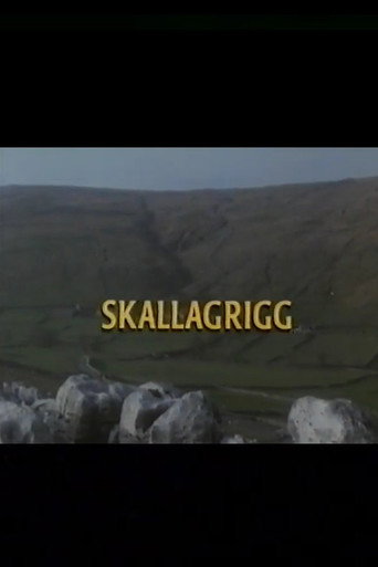 Póster de Skallagrigg