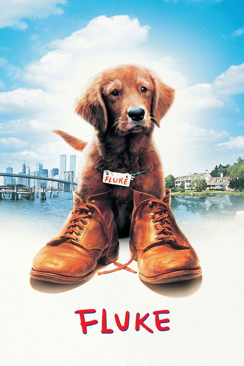 Póster de Mi amigo Fluke
