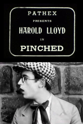 Póster de Pinched