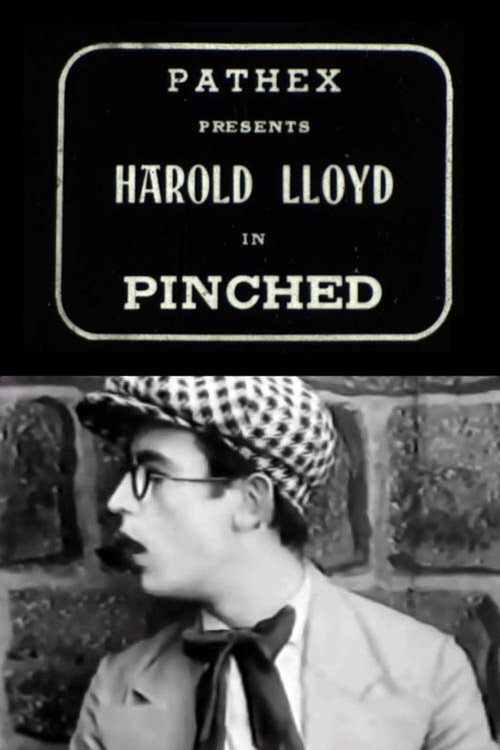 Póster de Pinched