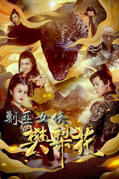 Póster de 剿匪女侠樊梨花