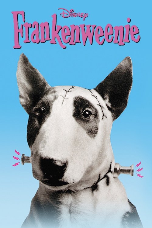 Póster de Frankenweenie